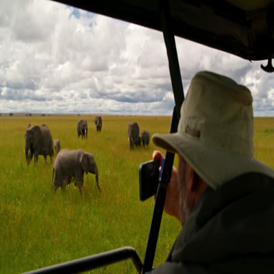 Tourism & Safaris